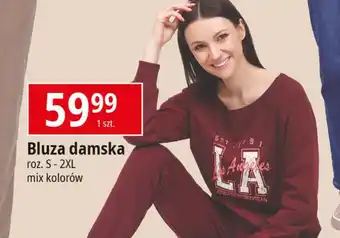 E.Leclerc Bluza damska s-2xl oferta