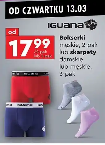 Biedronka Bokserki męskie m-xxl Iguana oferta