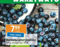 E.Leclerc Borówki amerykańskie oferta