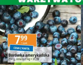 E.Leclerc Borówki amerykańskie oferta