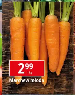 E.Leclerc Marchew młoda oferta