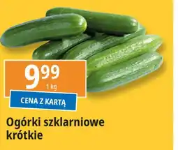 E.Leclerc Ogórek krótki szklarniowy oferta