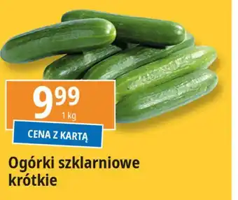 E.Leclerc Ogórek krótki szklarniowy oferta