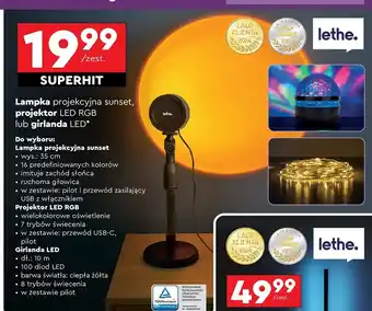 Biedronka Girlanda 100 led 10 m Lethe oferta