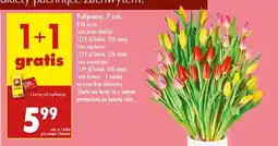 Tulipany