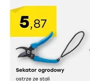 Patio Color Sekator ogrodowy oferta