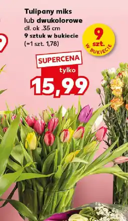 Kaufland Tulipany miks lub dwukolorowe oferta