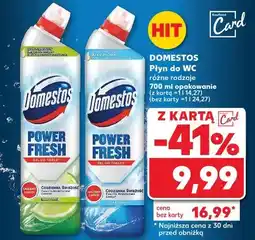 Kaufland Płyn do WC Domestos oferta