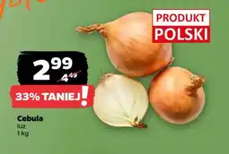 Netto Cebula żółta polska oferta