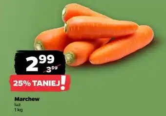 Netto Marchew oferta