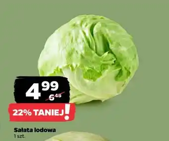 Netto Sałata lodowa oferta