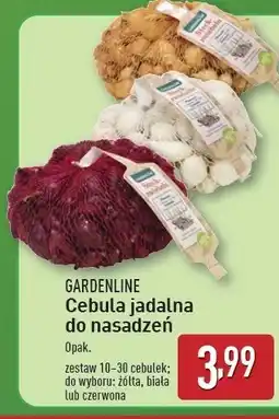 ALDI Cebula jadalna do nasadzeń czerwona Gardenline oferta