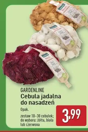 ALDI Cebula jadalna do nasadzeń czerwona Gardenline oferta