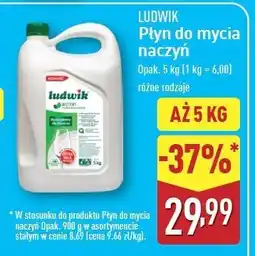 ALDI Płyn do naczyń miętowy Ludwik oferta