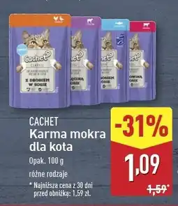 ALDI Karma dla kota ryba Cachet oferta