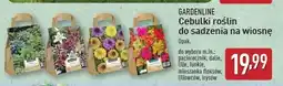 ALDI Funkie Gardenline oferta