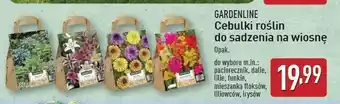 ALDI Funkie Gardenline oferta