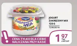 Selgros Jogurt zakręcony mix oferta