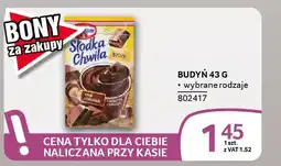 Selgros Budyń oferta