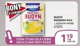 Selgros Budyń rodzinny oferta