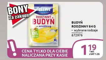 Selgros Budyń rodzinny oferta