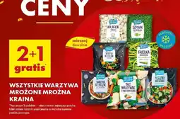 Biedronka WSZYSTKIE WARZYWA MROŻONE MROŹNA KRAINA oferta