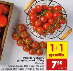 Biedronka Pomidory cherry gałązka oferta