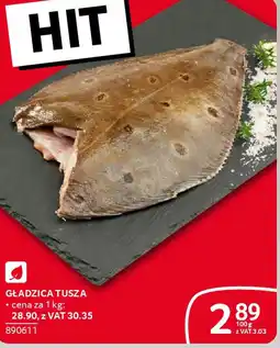 Selgros Gładzica tusza oferta