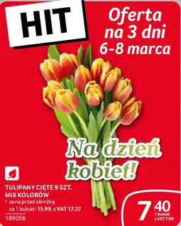 Selgros Tulipany cięte oferta