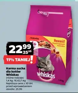 Netto Karma dla kota z wołowiną Whiskas oferta