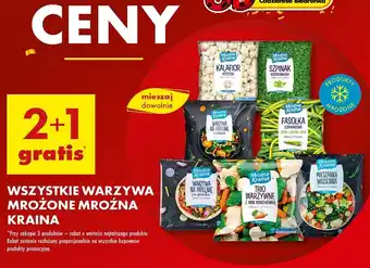 Biedronka Trio warzywne Mroźna Kraina oferta