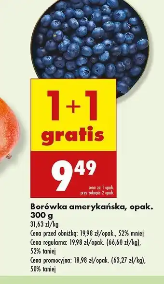 Biedronka Borówki amerykańskie oferta