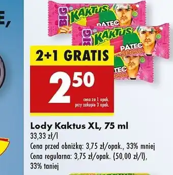 Biedronka Lód patec Nestle Kaktus oferta