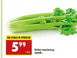 Biedronka Seler naciowy oferta