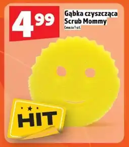 Topaz Gąbka czyszcząca Hit oferta