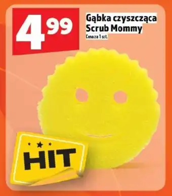 Topaz Gąbka czyszcząca Hit oferta