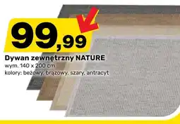 Bricomarche Dywan zewnętrzny oferta