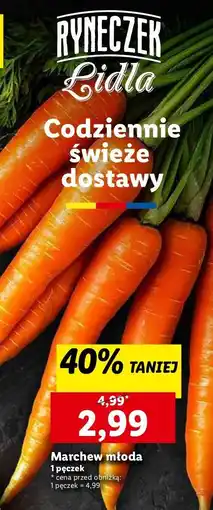 Lidl Marchew młoda oferta