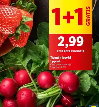 Lidl Rzodkiewka oferta