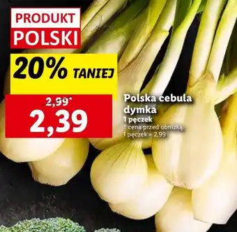 Lidl Cebula dymka ze szczypiorkiem pęczek oferta