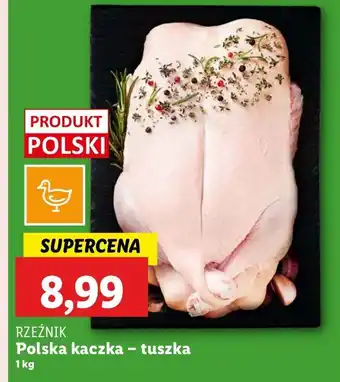 Lidl Kaczka tusza Rzeźnik Codzienna Dostawa oferta