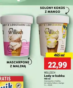 Lidl Lody mascarpone z maliną Willisch oferta