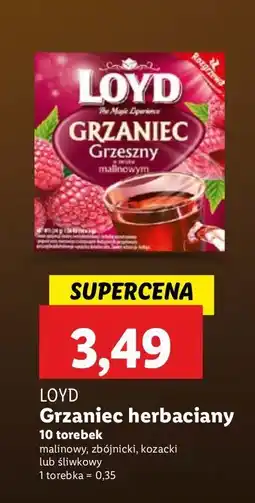 Lidl Grzaniec śliwkowy palony Loyd Tea oferta