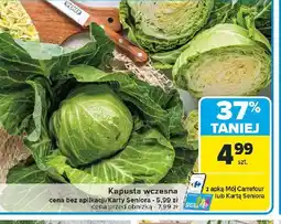 Carrefour Kapusta wczesna oferta