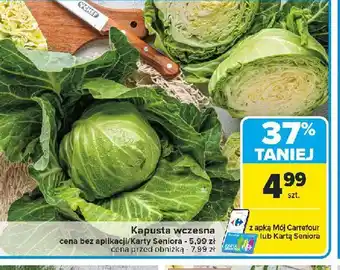 Carrefour Kapusta wczesna oferta