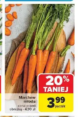 Carrefour Marchew młoda oferta