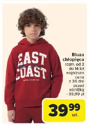 Carrefour Bluza chłopięca 3-14 lat oferta