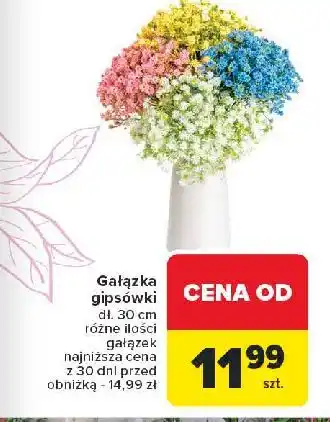 Carrefour Gipsówka gałązka oferta