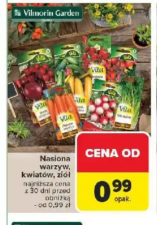 Carrefour Nasiona pomidorów Vita Line oferta