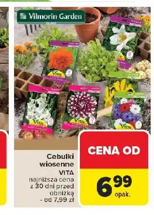 Carrefour Cebulki wiosenne Vilmorin Garden oferta